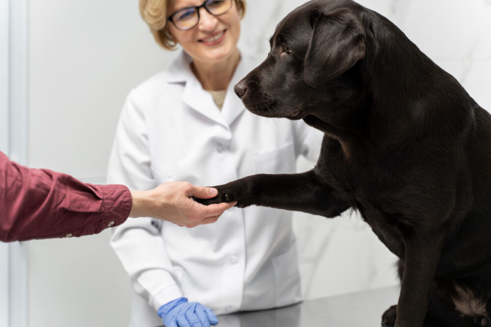 In-House Laboratory  Irving, TX