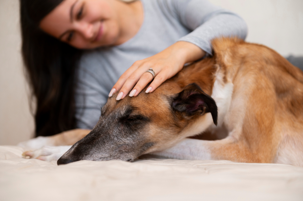 Pain Management  Irving, TX